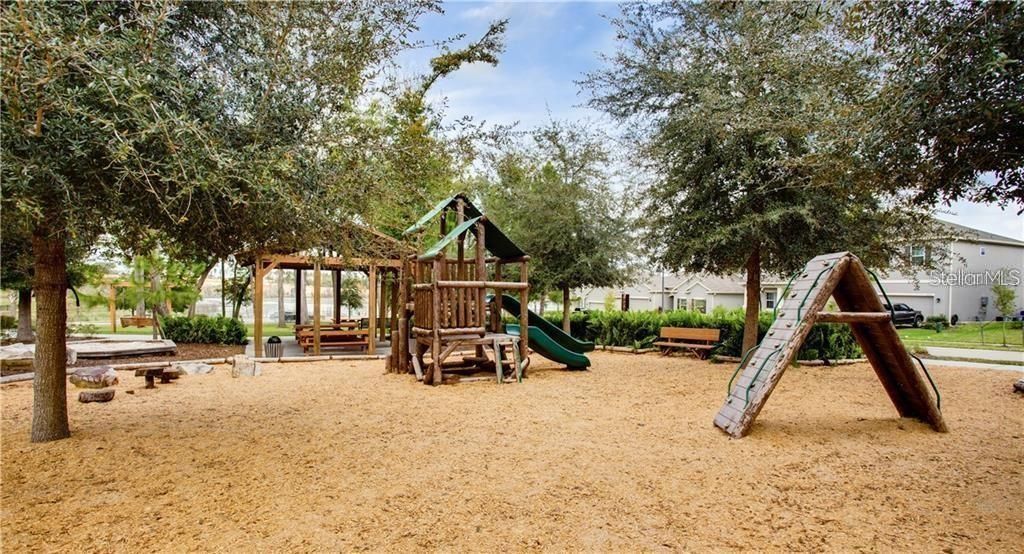 1861 Black Maple Place, Ocoee, FL 34761 Photo