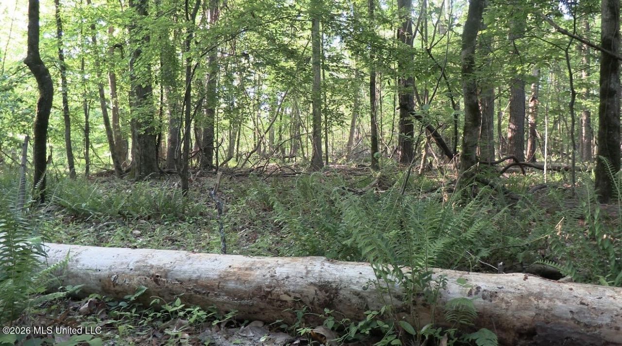 Bell Bottom Road, Redwood, MS 39156 Main Photo