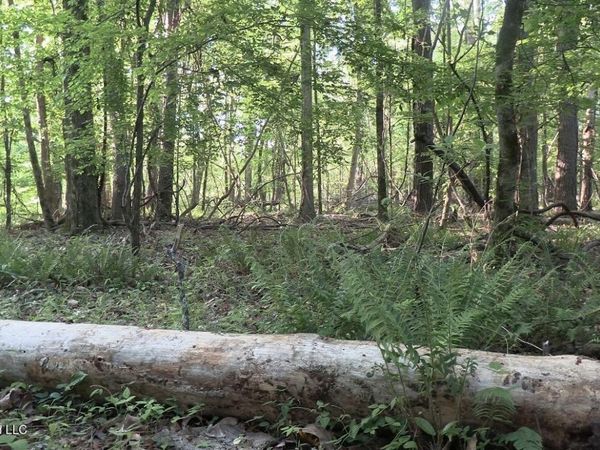 Bell Bottom Road, Redwood, MS 39156