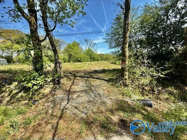 4117 Mat Morrow Road, Arab, AL 35016 Main Photo