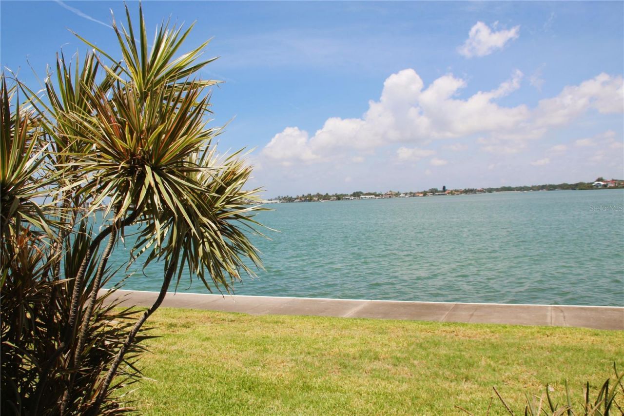 7560 Bay Island Drive S, Unit 149, South Pasadena, FL 33707 Photo
