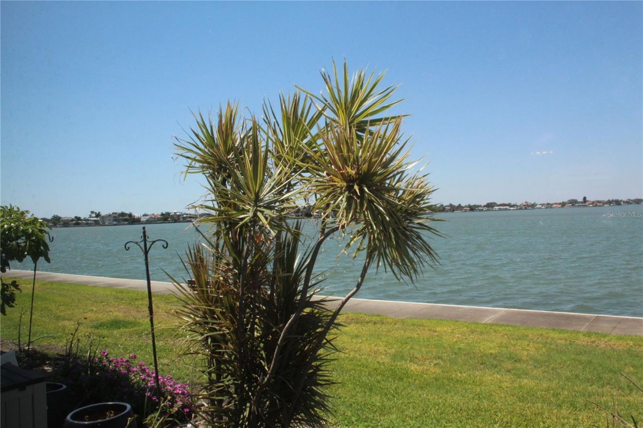 7560 Bay Island Drive S, Unit 149, South Pasadena, FL 33707 Photo