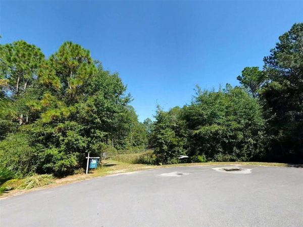 MAGNOLIA LAKE DR , DEFUNIAK SPRINGS, FL 32433