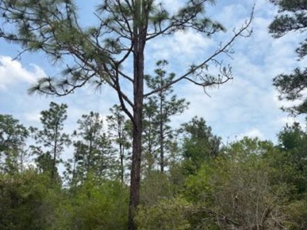 00 Southern Boulevard , Unit L4 B203, Alford, FL 32420