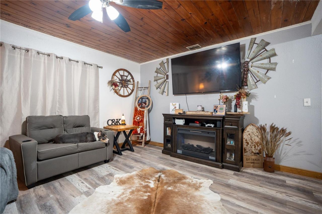 3520 Cribbs Drive, Mulberry, FL 33860 Photo