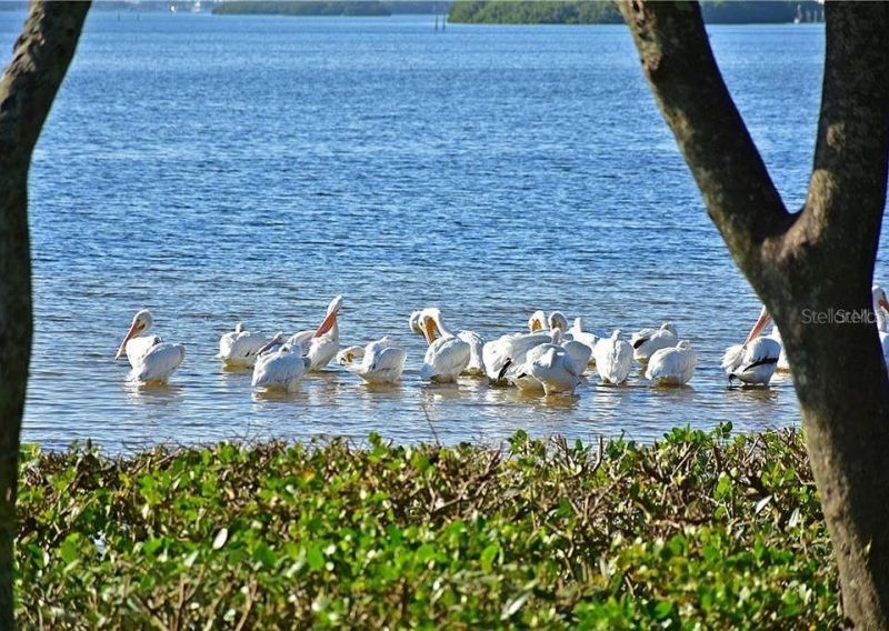 4523 W Independence Drive W, Bradenton, FL 34210 Photo