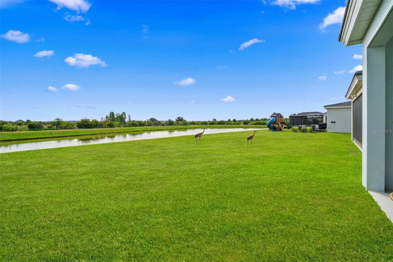 10308 Fieldstone Myrtle Way, San Antonio, FL 33576 Photo
