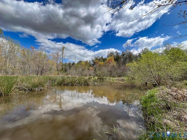 116.32 Acres Gilliam Mill Road, Dillwyn, VA 23936