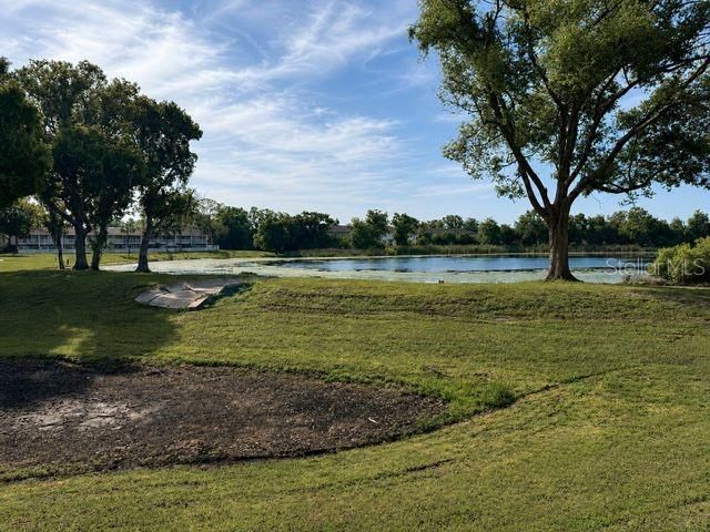 4401 Dylan Loop , Unit 164, Land O Lakes, FL 34639 Photo
