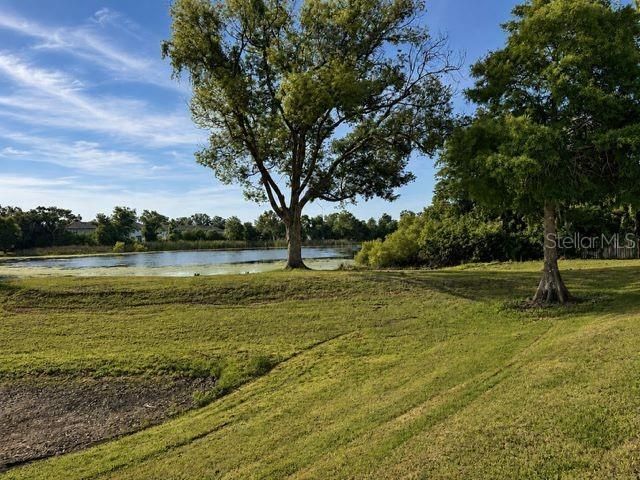 4401 Dylan Loop , Unit 164, Land O Lakes, FL 34639 Photo