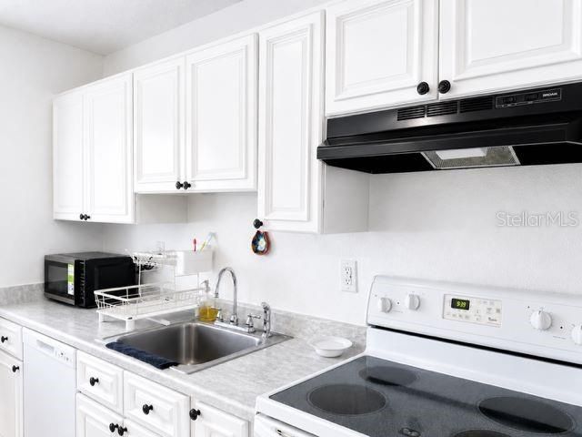 4401 Dylan Loop , Unit 164, Land O Lakes, FL 34639 Photo