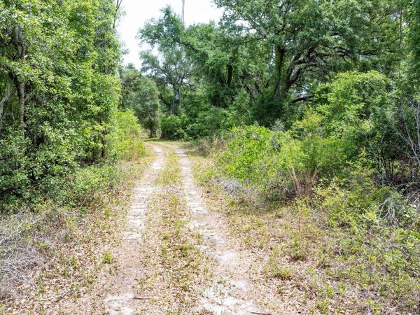 1285 SE KOON LAKE RD, Mayo, FL 32066