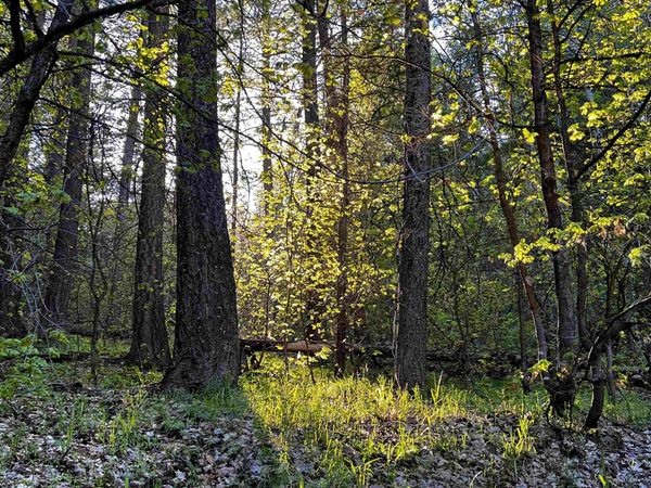 237 Marten Drive, Lava Hot Springs, ID 83246