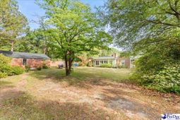 1734 W Carolina Avenue photo 4