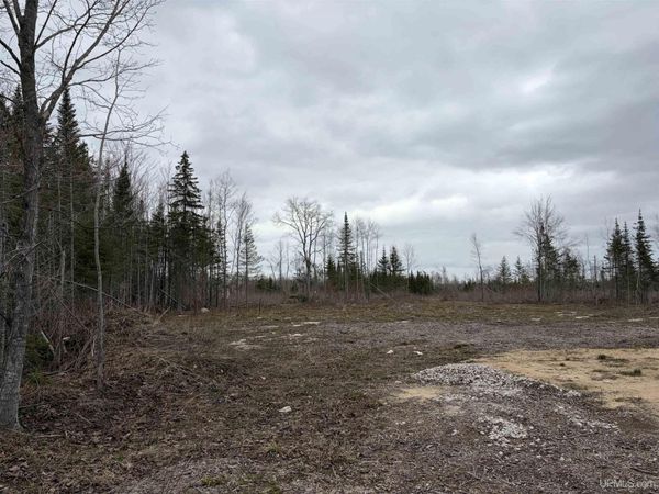 TBD Cooper Rd Road, Doyle Twp, MI 49840