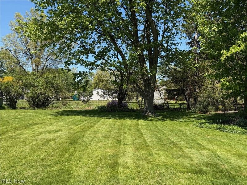 7499 Harding Street, Mentor, OH 44060 Photo 31