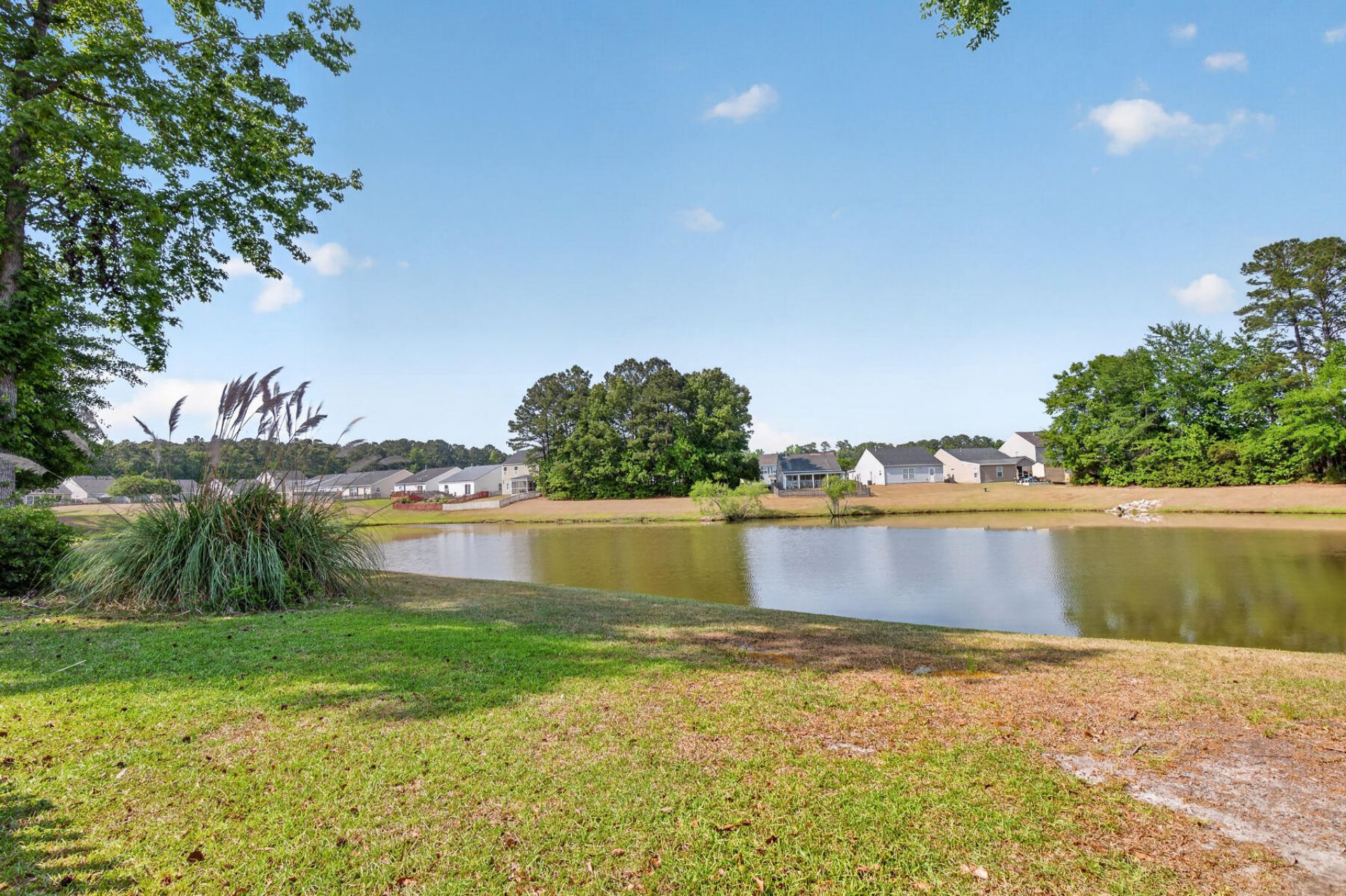 110 Coosawatchie Street Photo 38
