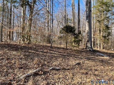 843 Bowling Lane , Ruther Glen, VA 22546