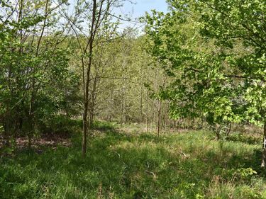 Lot 54 Sanctuary Cove, Morgantown, WV 26508