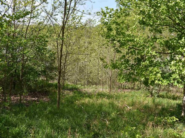 Lot 54 Sanctuary Cove, Morgantown, WV 26508