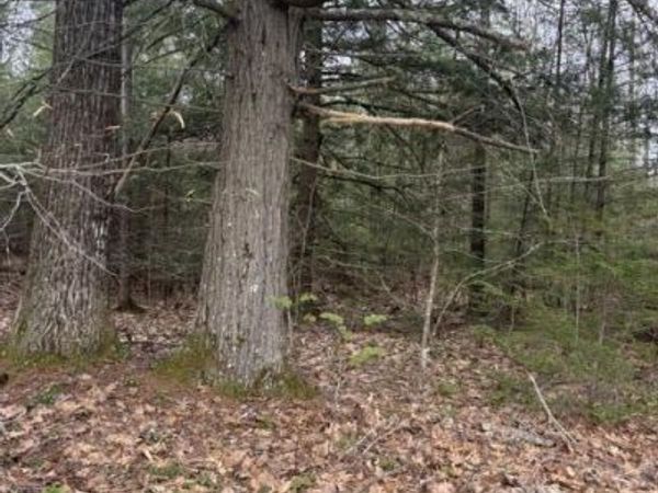 0 Old North Road, West Gardiner, ME 04345