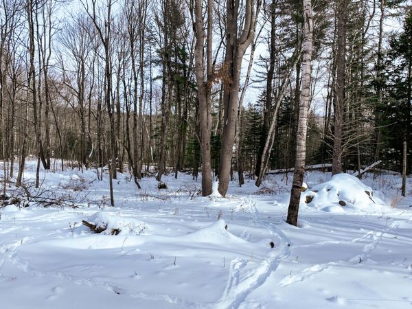 20 Skyscraper Hill Road , Brooks, ME 04921