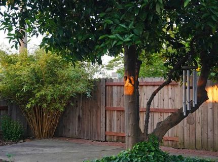 1719 W Locust St, Lodi, CA 95242 Photo