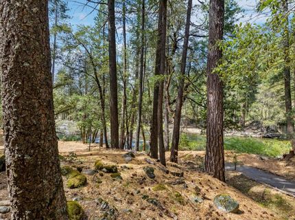 3045 Alder Creek Rd #16, Unit 16, Pollock Pines, CA 95726 Photo