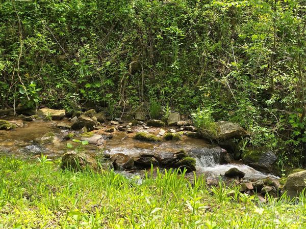 99999 Roaring Fork Road , Mars Hill, NC 28754