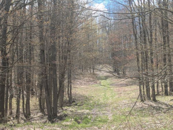 20179 N Coates Highway, Brethren, MI 49619