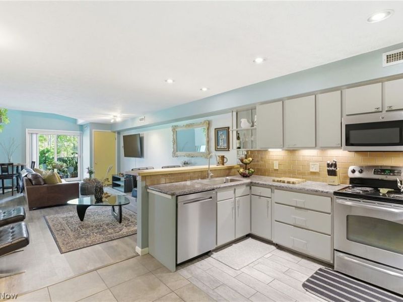 1900 Grove Court , Unit 112, Cleveland, OH 44113 Photo 9