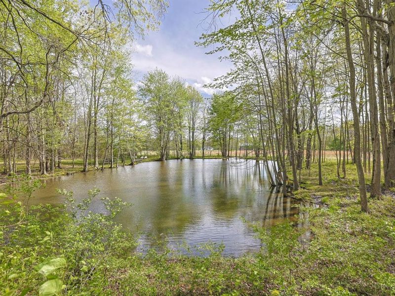 1757 Phillips Road, Turtle Creek Twp, OH 45036 Photo 35