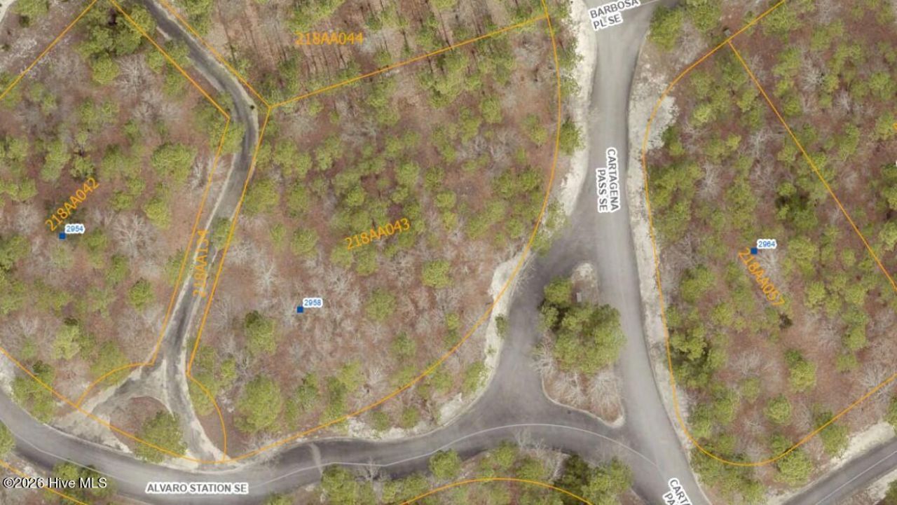 2958 Alvaro Station Se, Bolivia, NC 28422 Main Photo