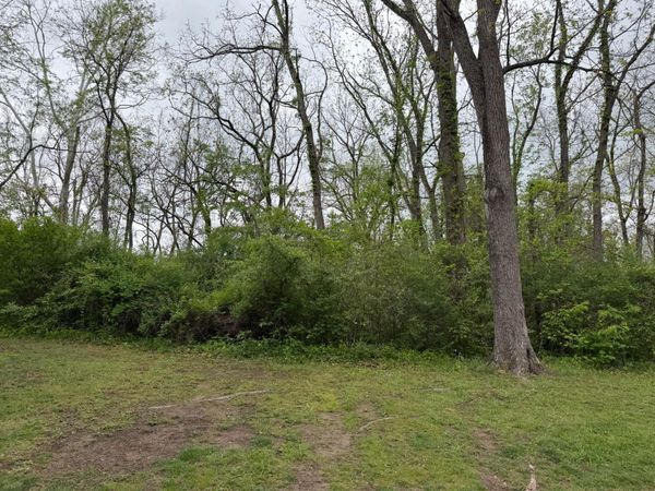 Alta Dr, Alderson, WV 24910