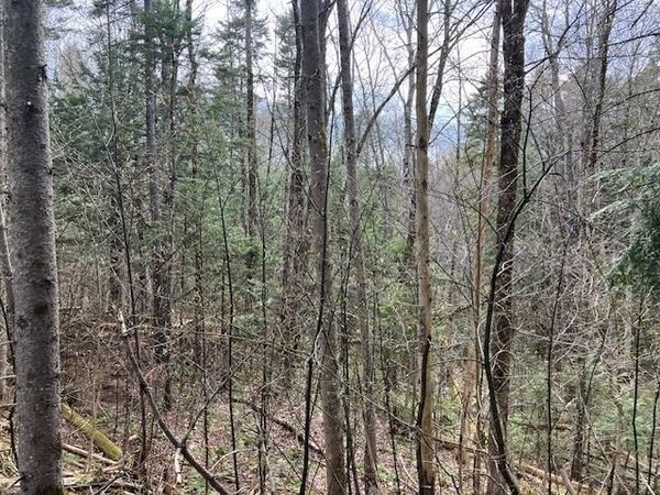 123 High Top Road, Unit B-123, Wilmington, VT 05363