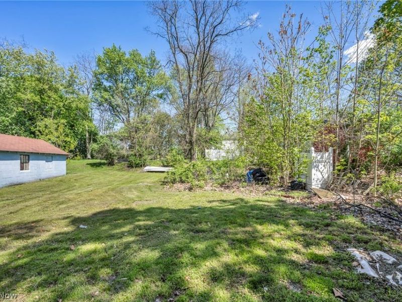 383 N Arlington Street, Akron, OH 44305 Photo 23