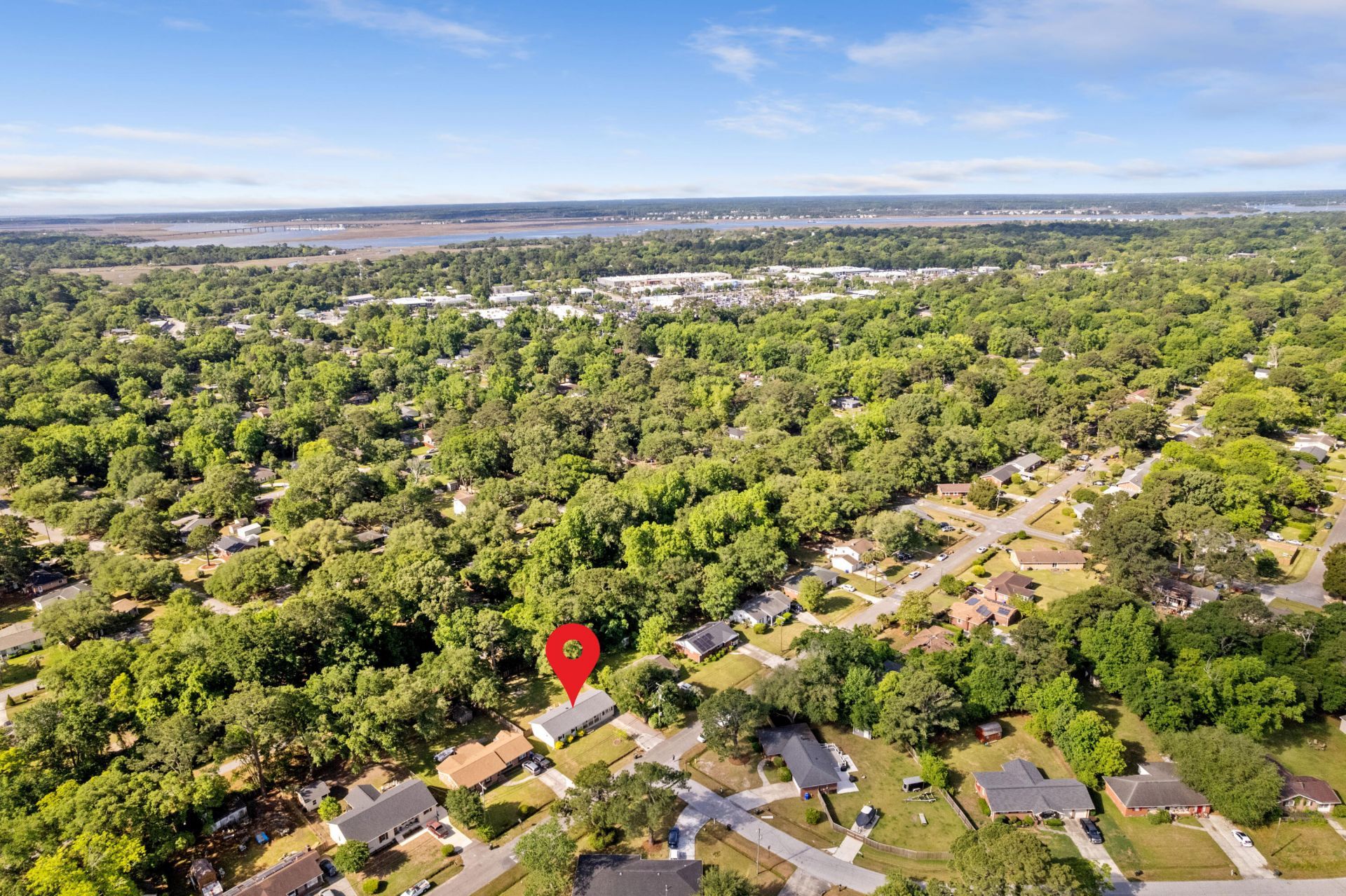 1317 White Drive Photo 25