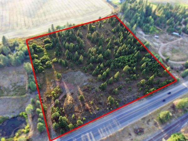 14117 E E Gibbs Rd, Mica, WA 99023