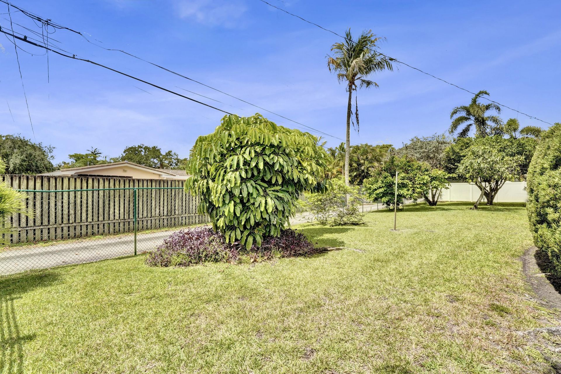 4200 Buchanan Street, Hollywood, FL 33021 Photo