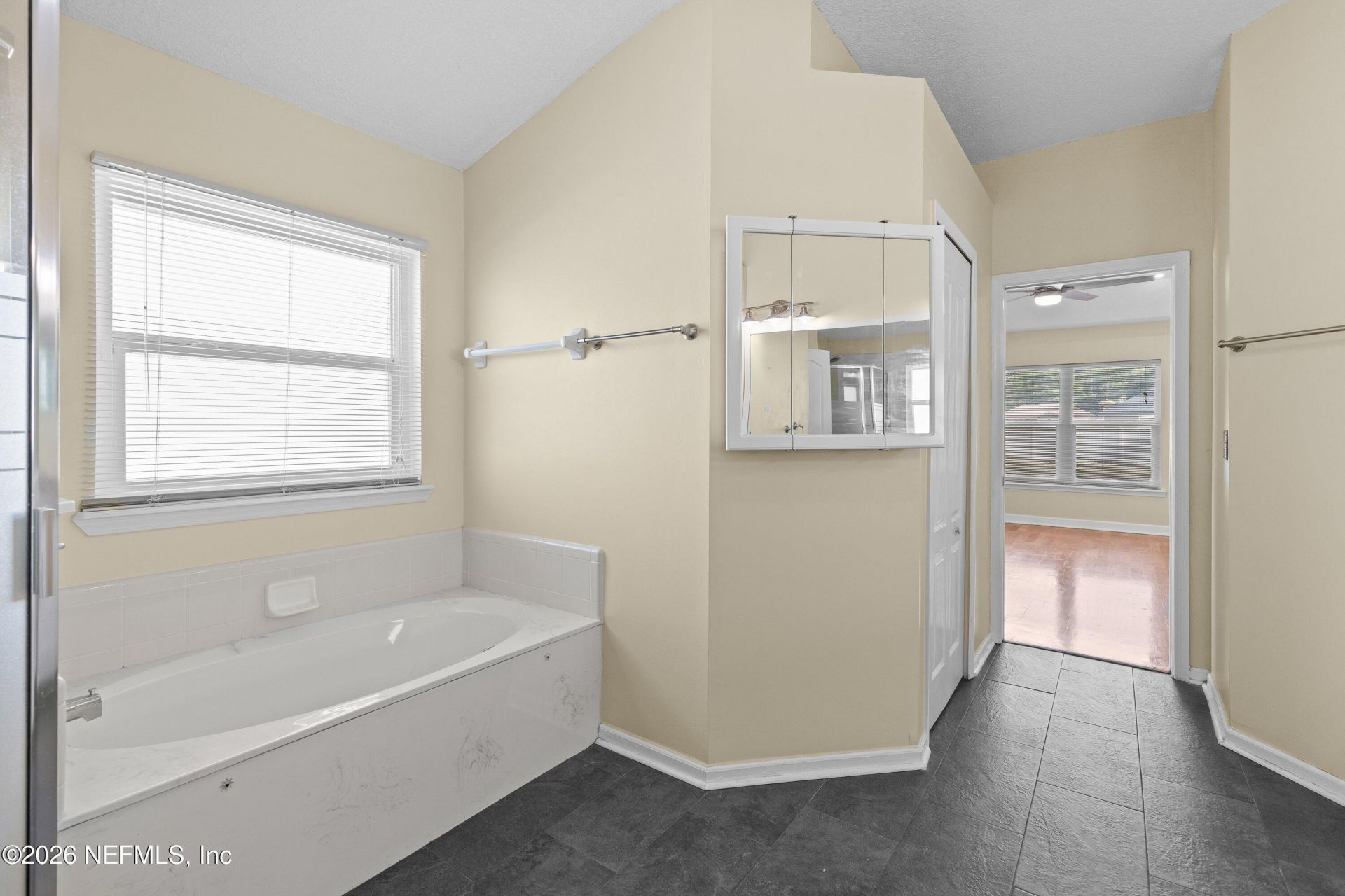 10211 Wellhouse Court, Jacksonville, FL 32220 Photo