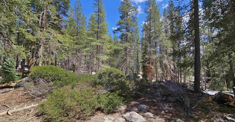 10060 Bunny Hill Road, Soda Springs, CA 95728 Photo