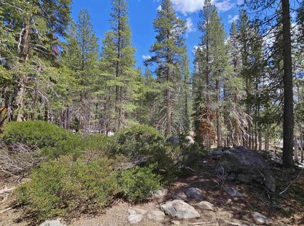 10060 Bunny Hill Road, Soda Springs, CA 95728 Photo