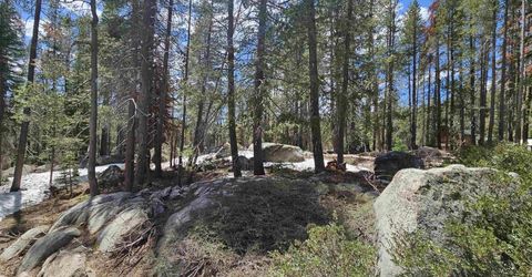 10060 Bunny Hill Road, Soda Springs, CA 95728 Photo