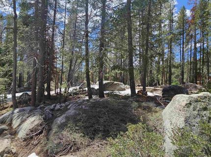 10060 Bunny Hill Road, Soda Springs, CA 95728 Photo