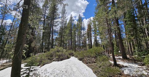 10060 Bunny Hill Road, Soda Springs, CA 95728 Photo