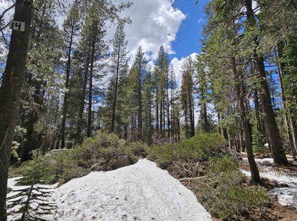 10060 Bunny Hill Road, Soda Springs, CA 95728 Photo
