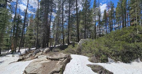 10060 Bunny Hill Road, Soda Springs, CA 95728 Photo