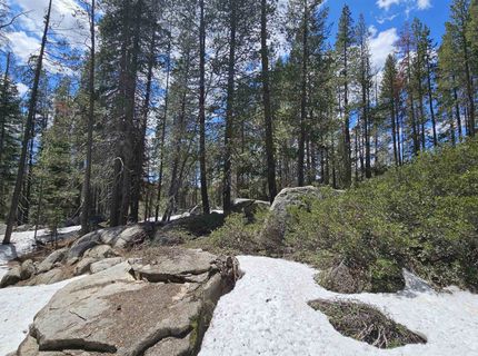 10060 Bunny Hill Road, Soda Springs, CA 95728 Photo