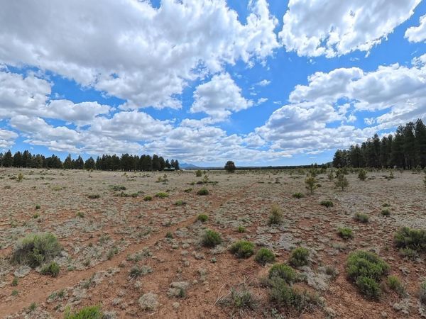 12565 CAMP KIMBALL Road, Unit -, Parks, AZ 86018