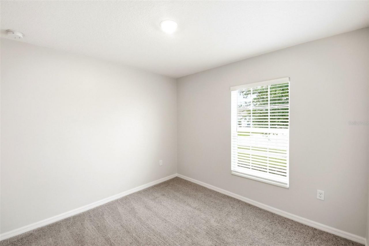 1668 Gopher Tree Street , Mascotte, FL 34753 Photo